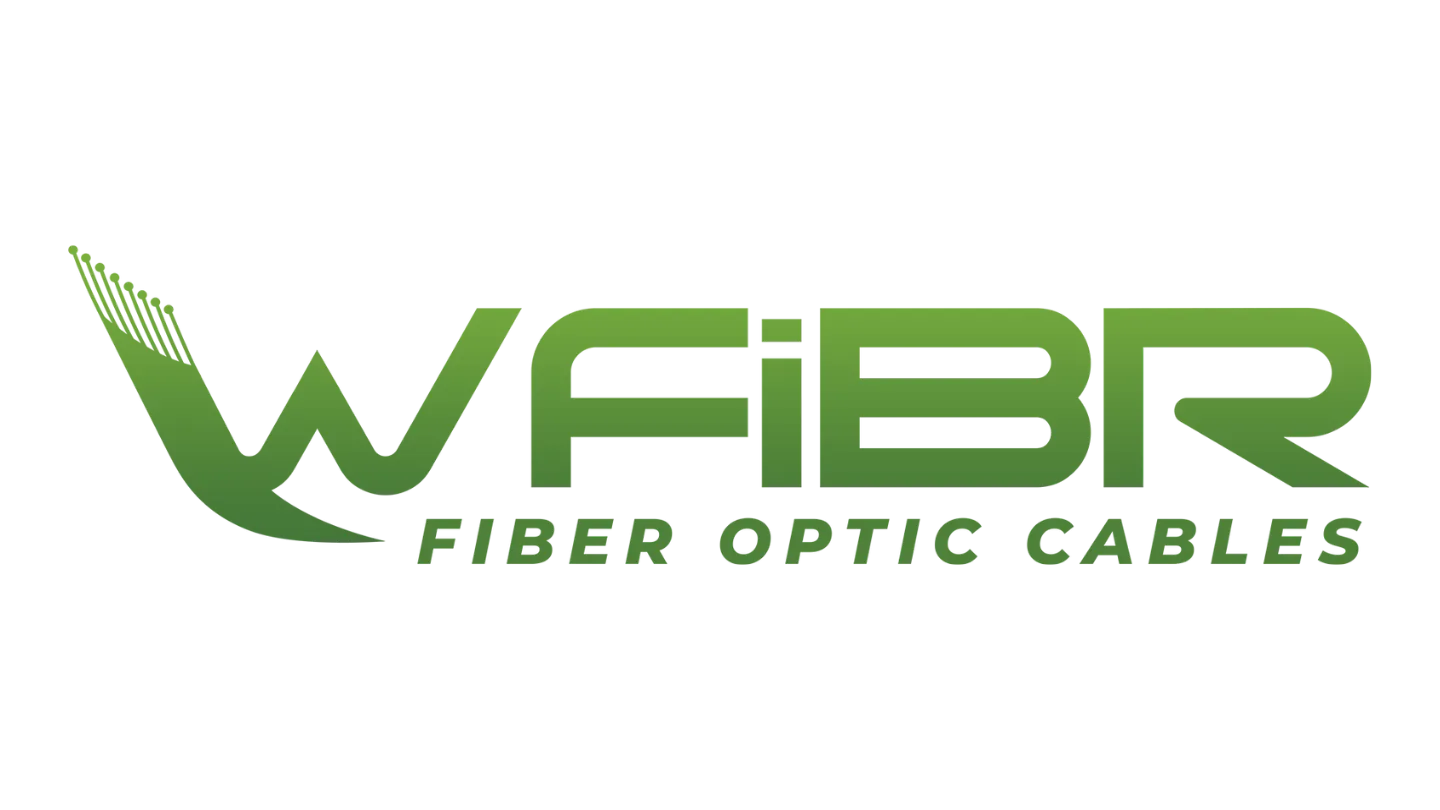 Founded and Launched WFiBR